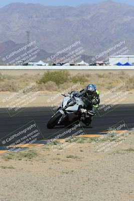 media/May-14-2023-SoCal Trackdays (Sun) [[024eb53b40]]/Turn 4 Inside (9am)/